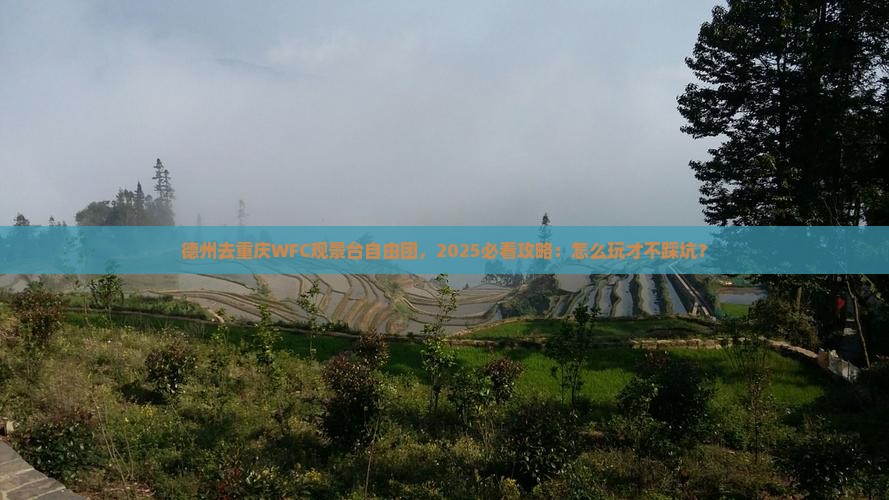 德州去重庆wfc观景台自由团