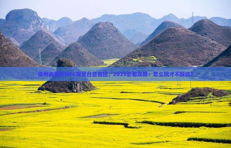 德州去重庆wfc观景台自由团