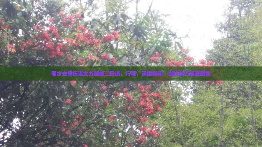 丽水去重庆蚩尤九黎城二日游