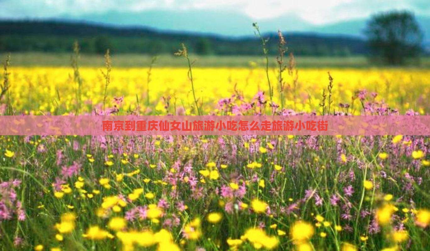南京到重庆仙女山旅游小吃