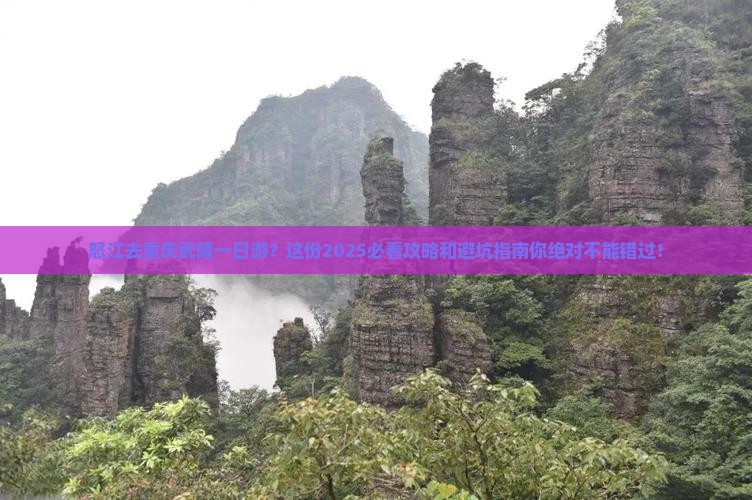 怒江去重庆武隆一日