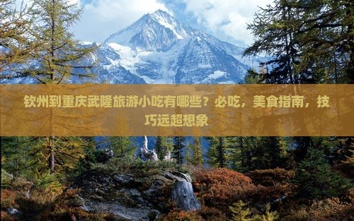 钦州到重庆武隆旅游小吃