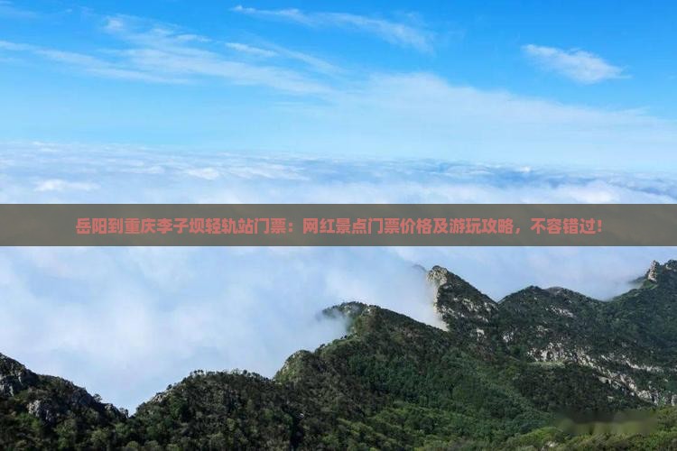 岳阳到重庆李子坝轻轨站门票