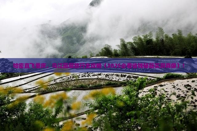 哈密到重庆乌江画廊旅行社