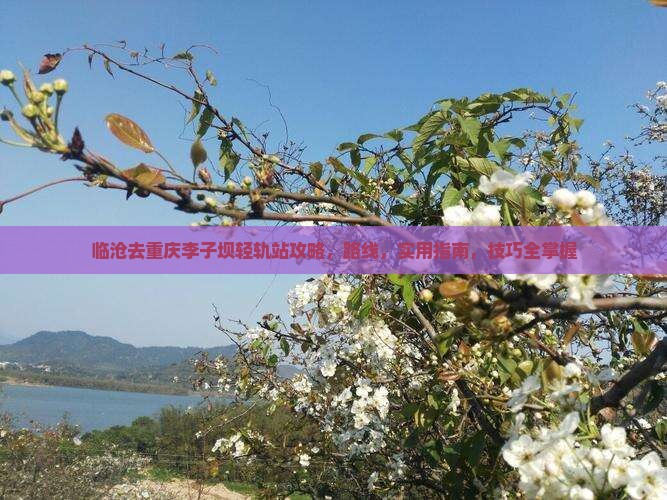 临沧去重庆李子坝轻轨站攻略
