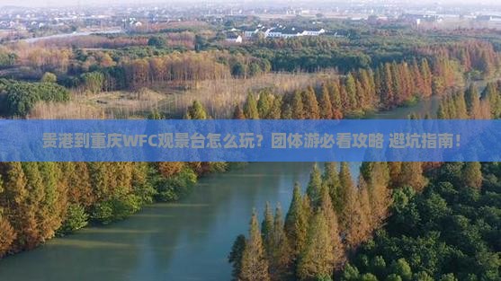 贵港到重庆wfc观景台团体旅游