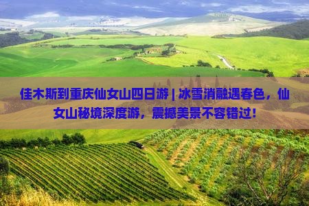 佳木斯到重庆仙女山四日游