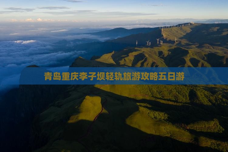 青岛到重庆李子坝轻轨站五日游