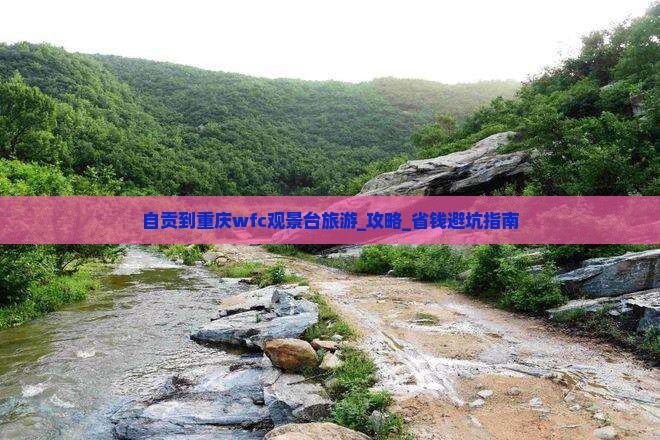 自贡到重庆wfc观景台旅游