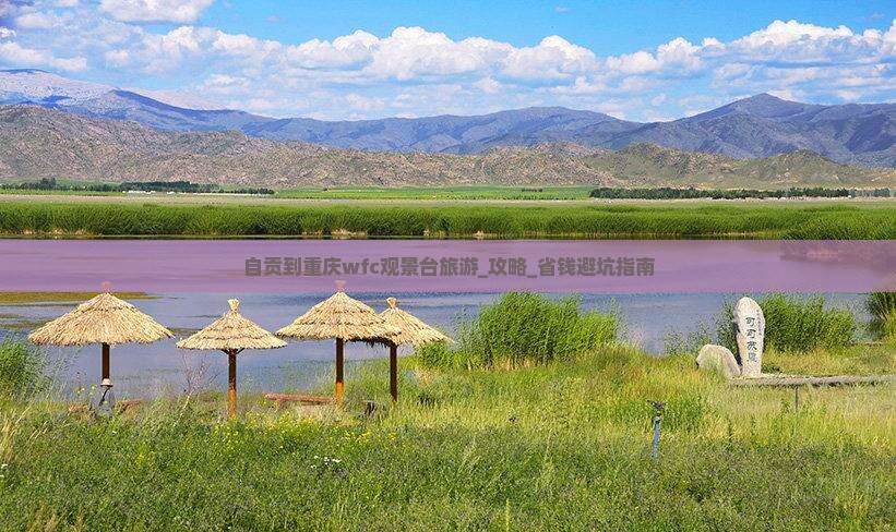 自贡到重庆wfc观景台旅游