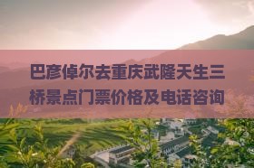 巴彦倬尔去重庆武隆天生三桥景点门票价格及电话咨询