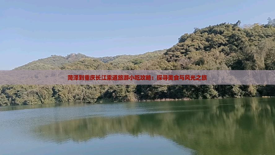 菏泽到重庆长江索道旅游小吃攻略：探寻美食与风光之旅