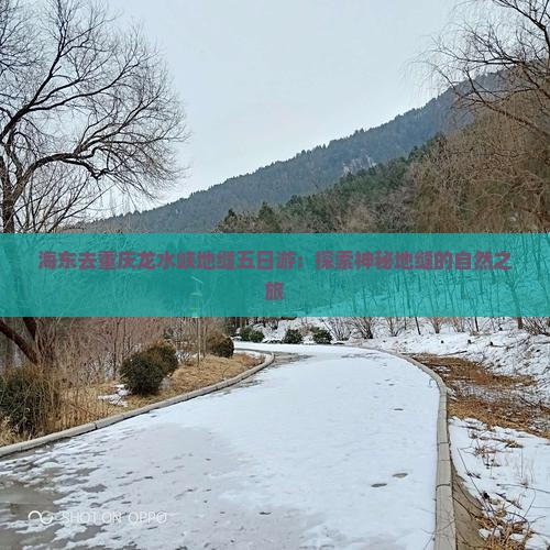 海东去重庆龙水峡地缝五日游：探索神秘地缝的自然之旅