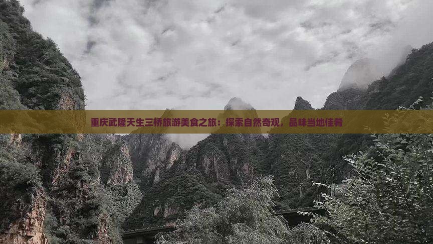 阿坝去重庆武隆天生三桥旅游小吃
