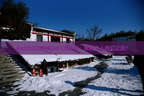 牡丹江去重庆wfc观景台个人游 牡丹江去重庆wfc观景台个人游