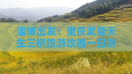 淄博到重庆武隆天生三桥一日