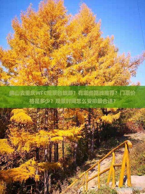 佛山去重庆wfc观景台旅游