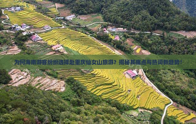 海南去重庆仙女山旅游