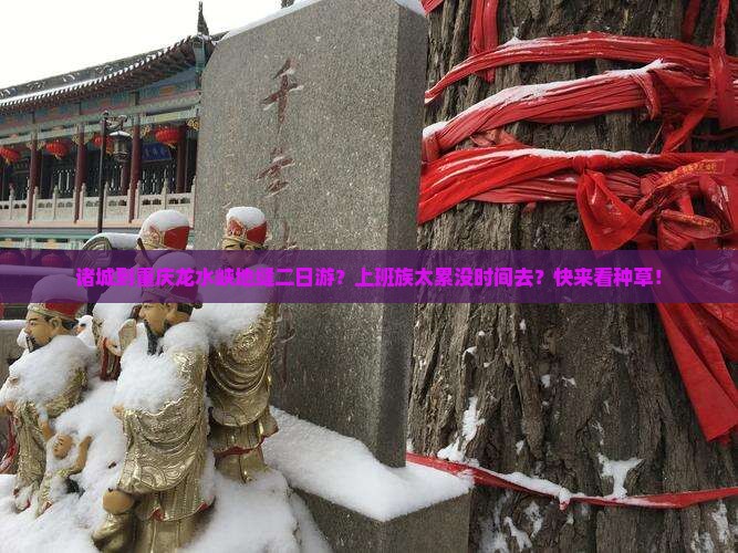 诸城到重庆龙水峡地缝二日游 诸城到重庆龙水峡地缝二日游