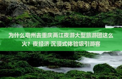 亳州去重庆两江夜游大型旅游团