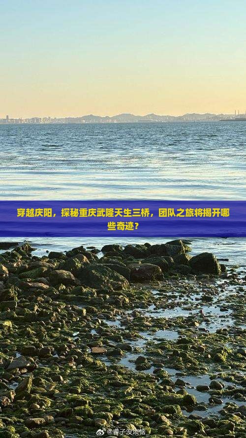 庆阳到重庆武隆天生三桥团体旅游