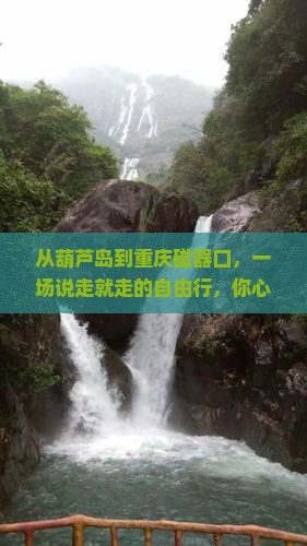 葫芦岛去重庆磁器口自由团