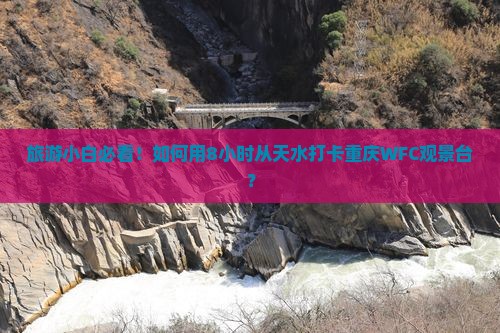 天水到重庆wfc观景台一日