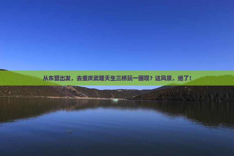 东营到重庆武隆天生三桥旅游