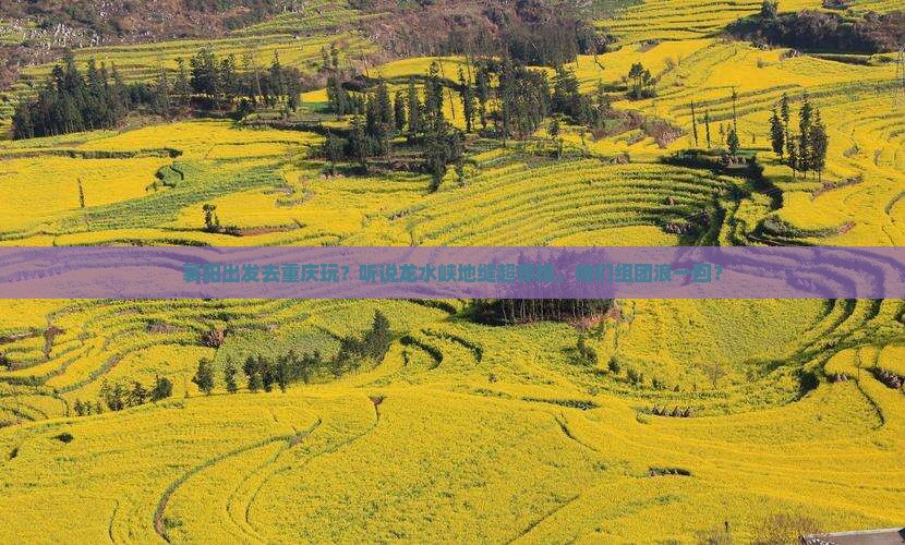 襄阳到重庆龙水峡地缝自由团