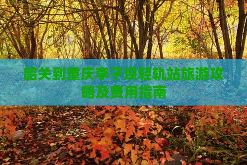 韶关到重庆李子坝轻轨站旅游