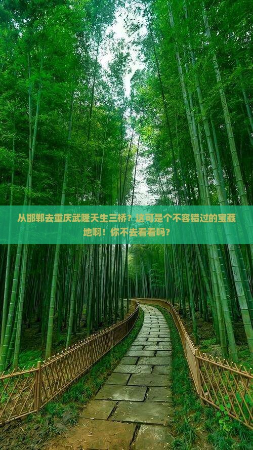 邯郸到重庆武隆天生三桥必去地