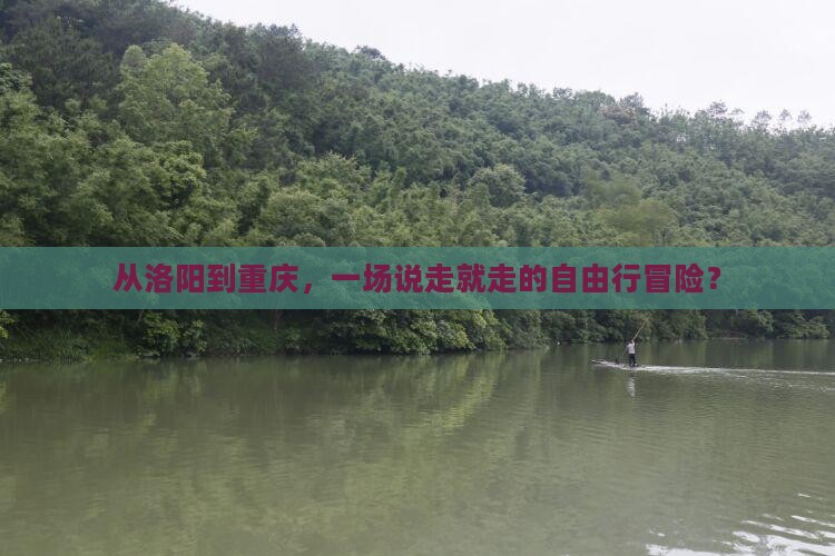 洛阳到重庆自由行
