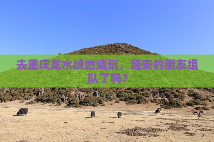 延安到重庆龙水峡地缝团体旅游