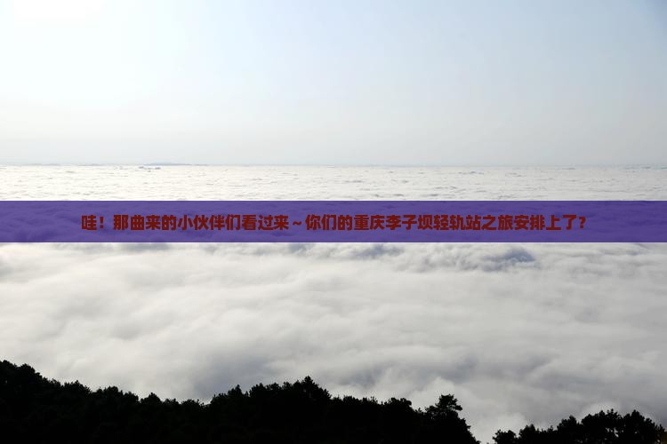 那曲去重庆李子坝轻轨站大型旅游团