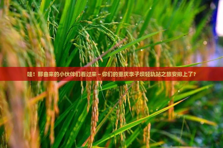 那曲去重庆李子坝轻轨站大型旅游团
