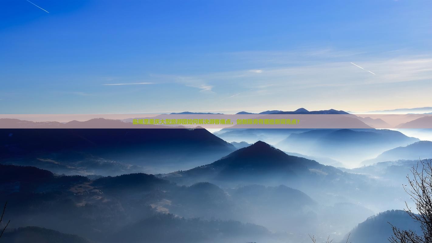 盐城到重庆大型旅游团