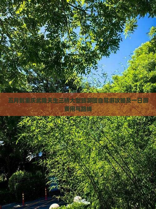 五月到重庆武隆天生三桥大型旅游团