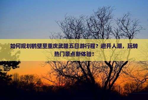 鹤壁到重庆武隆五日游