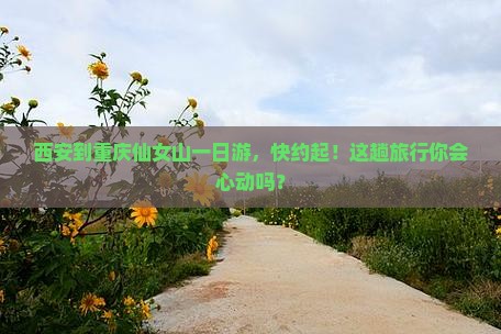 西安到重庆仙女山一日