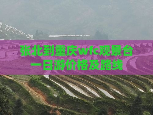 张北到重庆wfc观景台一日