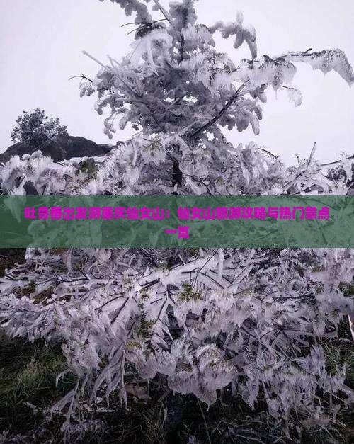 吐鲁番去重庆仙女山哪里玩