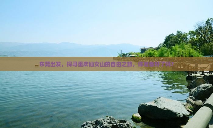 东莞到重庆仙女山自由团
