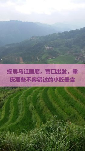 营口去重庆乌江画廊旅游小吃
