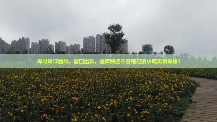 营口去重庆乌江画廊旅游小吃