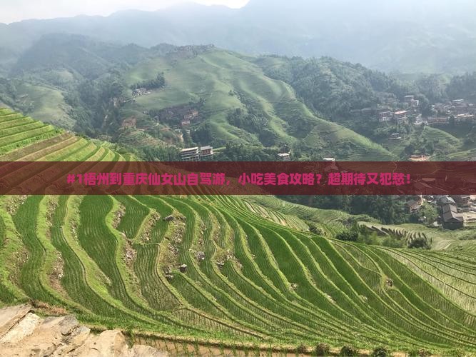 梧州到重庆仙女山旅游小吃