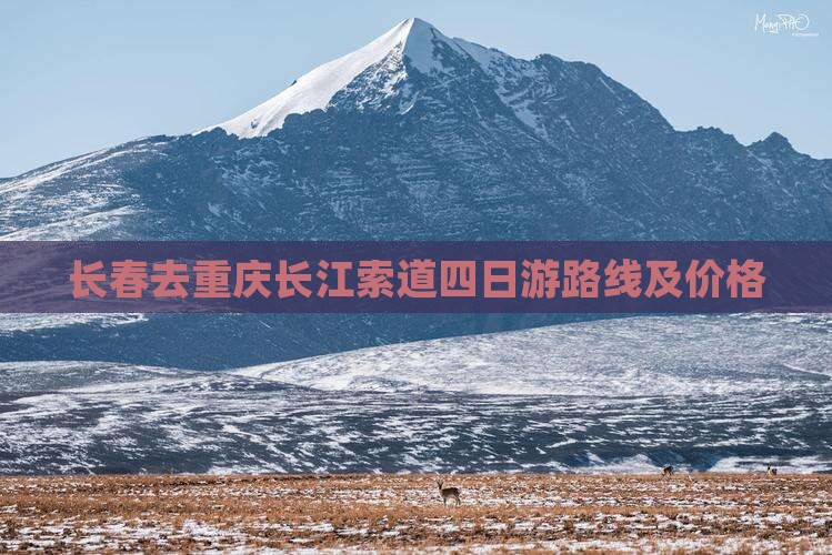 长春去重庆长江索道四日游 长春去重庆长江索道四日游