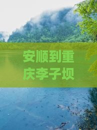 安顺到重庆李子坝轻轨站大型旅游团