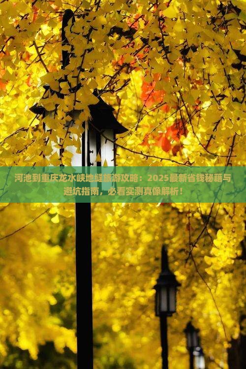 河池到重庆龙水峡地缝旅游