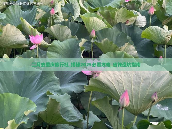二月去重庆旅行社