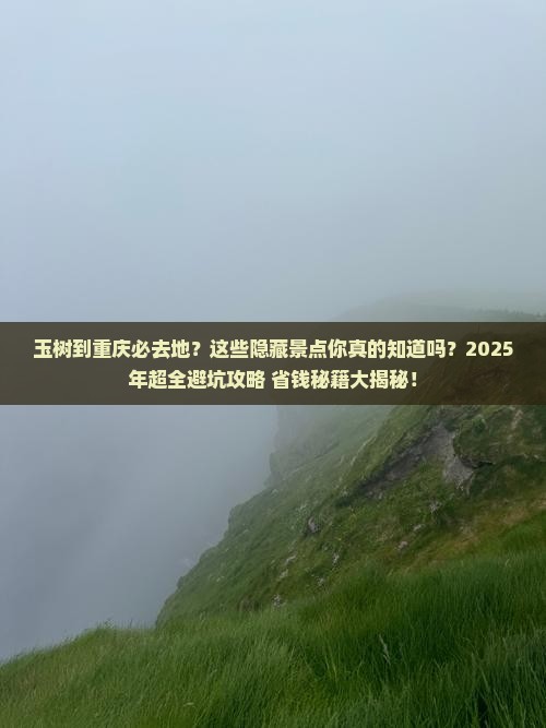 玉树到重庆必去地 玉树到重庆必去地